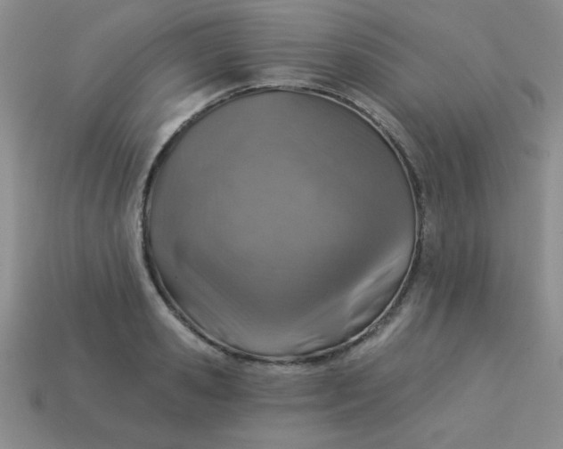 X0000113000941200909101753