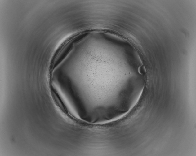 X0000113000942200909101753