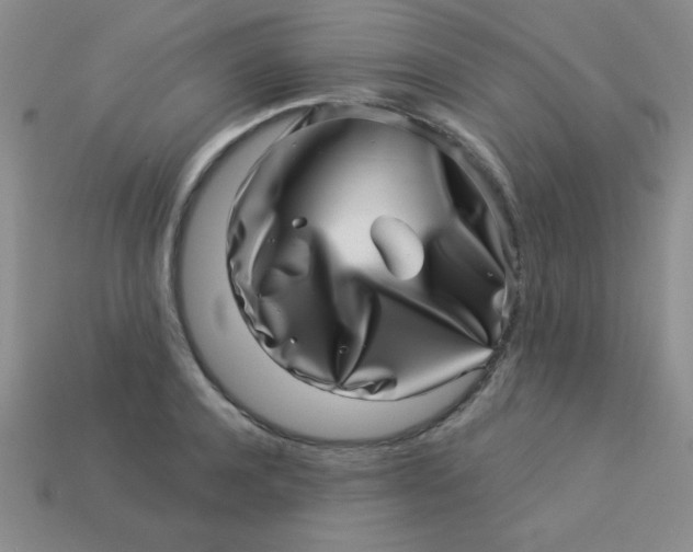 X0000113000944200909101753