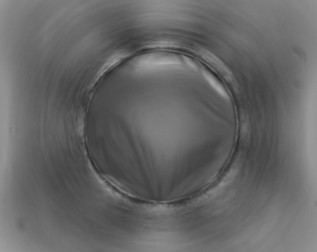 X0000113000945200909101753