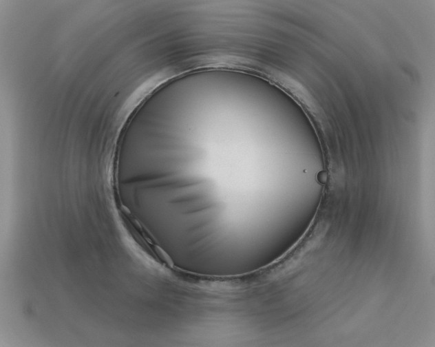 X0000113000946200909101753