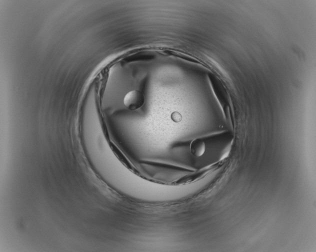 X0000113000948200909101753