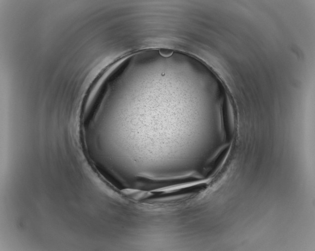 X0000113000949200909101753