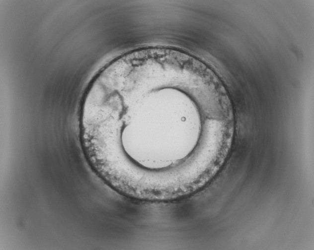 X0000113000950200909101753