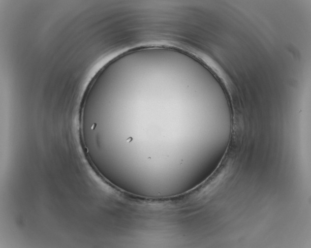 X0000113000951200909101753