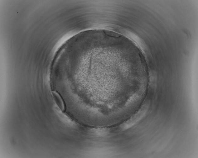 X0000113000952200909101753