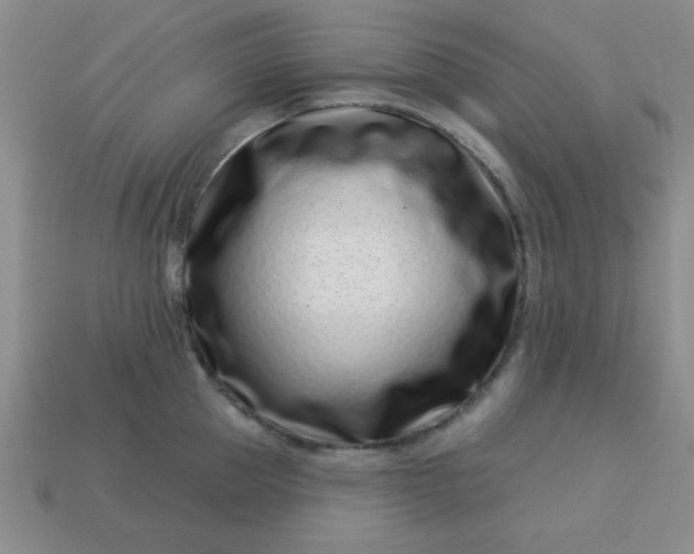 X0000113000953200909101753