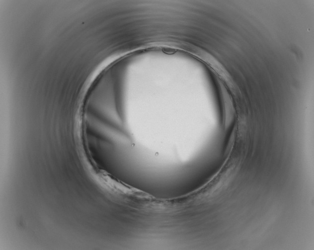 X0000113000955200909101753