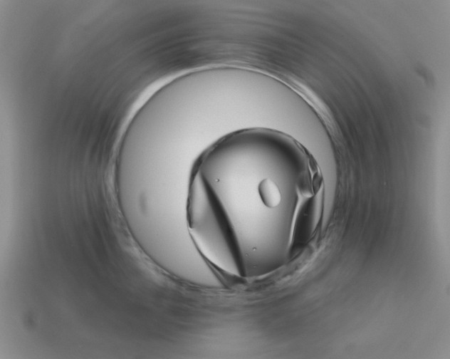 X0000113000956200909101753