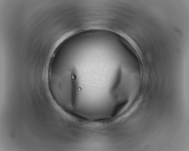 X0000113000957200909101753