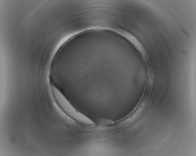 X0000113000958200909101753