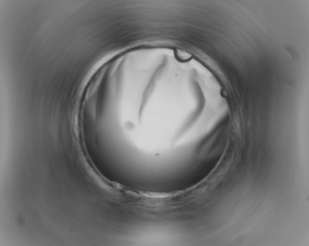 X0000113000959200909101753