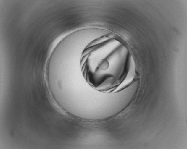 X0000113000960200909101753