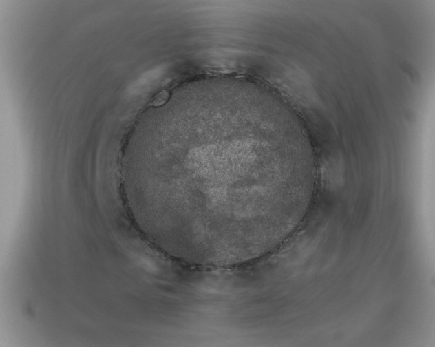 X0000113000961200909101753