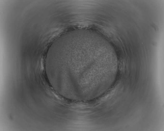 X0000113000962200909101753