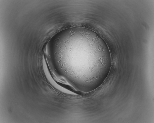 X0000113000964200909101752