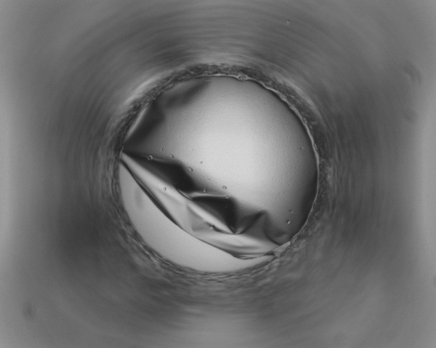 X0000113000968200909101752