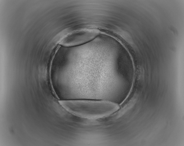 X0000113000969200909101752