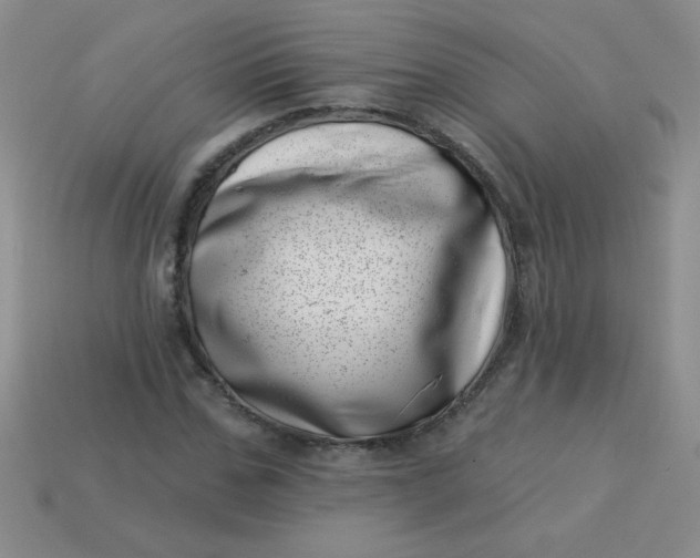 X0000113000971200909101752