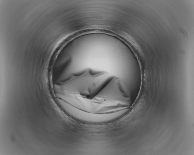 X0000113000972200909101752