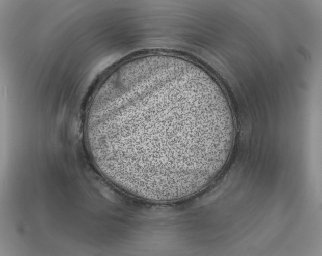 X0000113000974200909101752