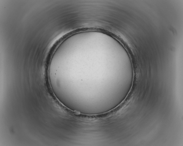 X0000113000975200909101752