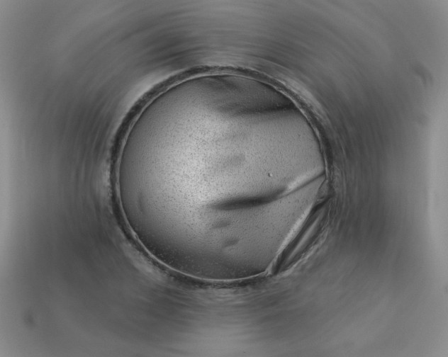 X0000113000976200909101752