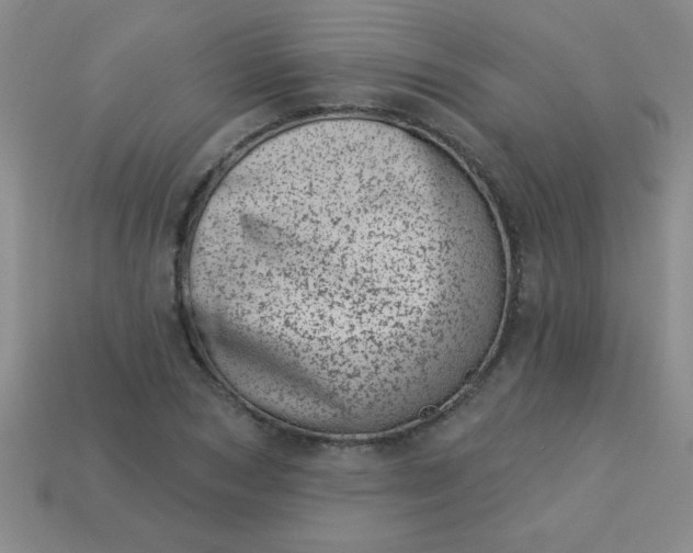 X0000113000978200909101752