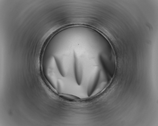 X0000113000980200909101752