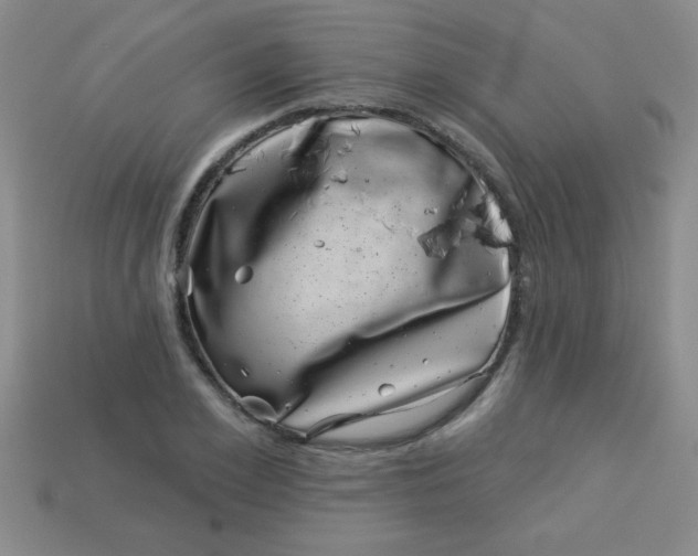 X0000113000981200909101752