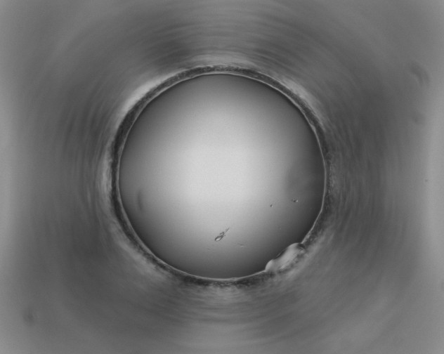 X0000113000983200909101752