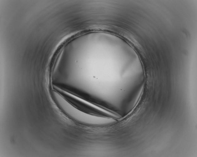 X0000113000984200909101752