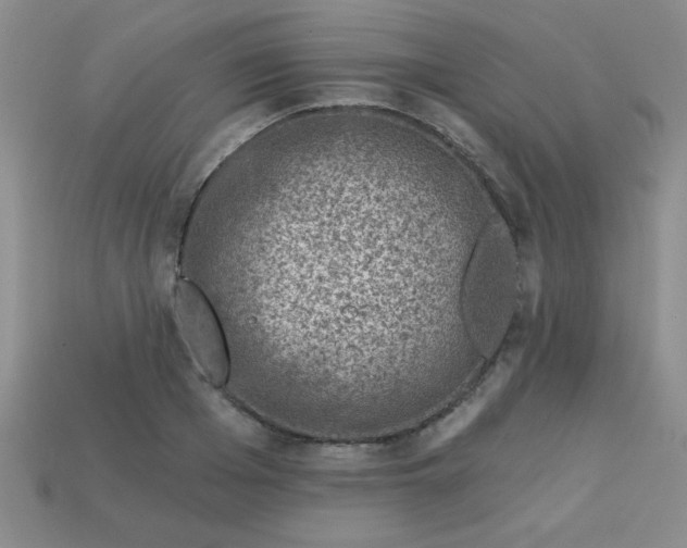 X0000113000985200909101752