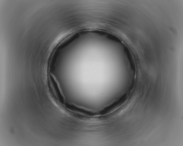 X0000113000986200909101752