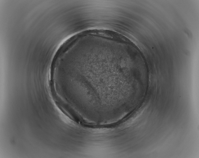 X0000113000988200909101752