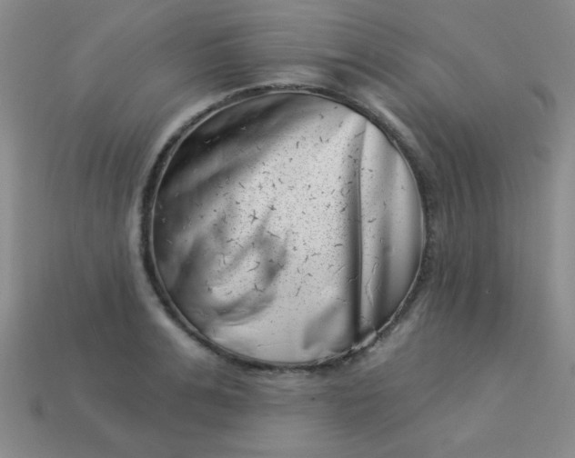 X0000113000991200909101752