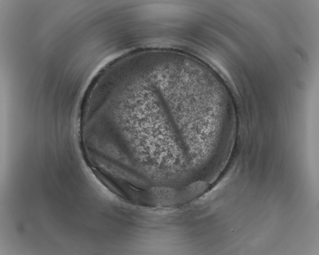 X0000113000992200909101752