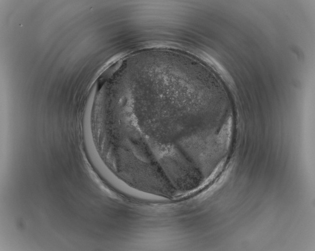 X0000113000993200909101752