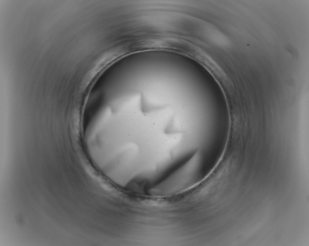 X0000113000994200909101752