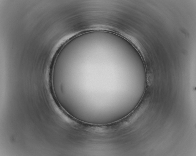 X0000113000995200909101752