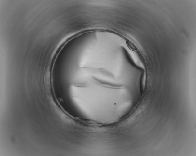 X0000113000996200909101752