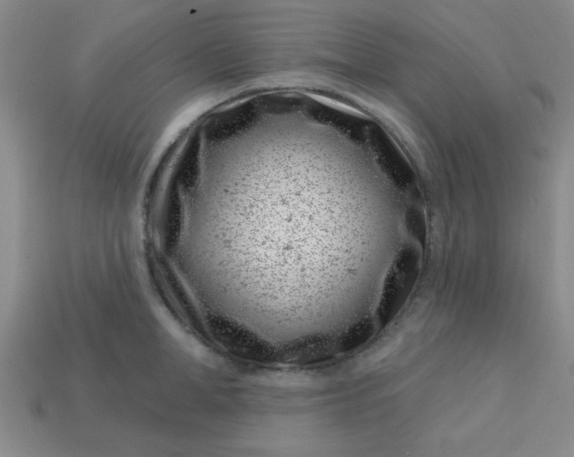 X0000113000998200909101752