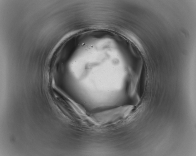 X0000113001000200909101752