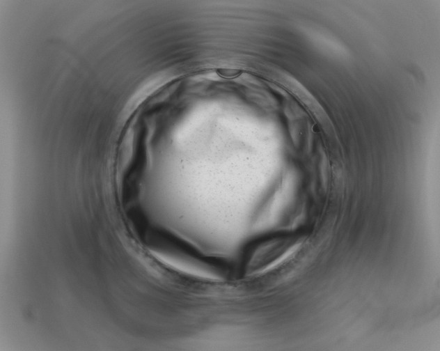 X0000113001002200909101752