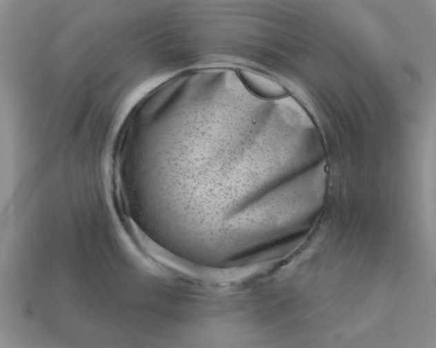 X0000113001003200909101752