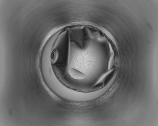 X0000113001005200909101752