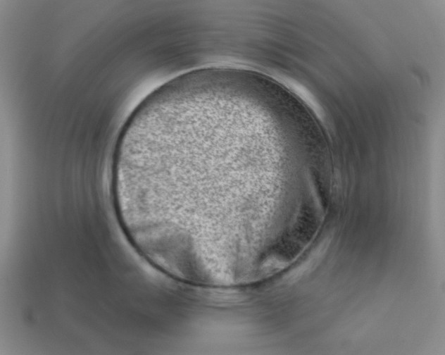 X0000113001007200909101752