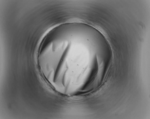 X0000113001008200909101752