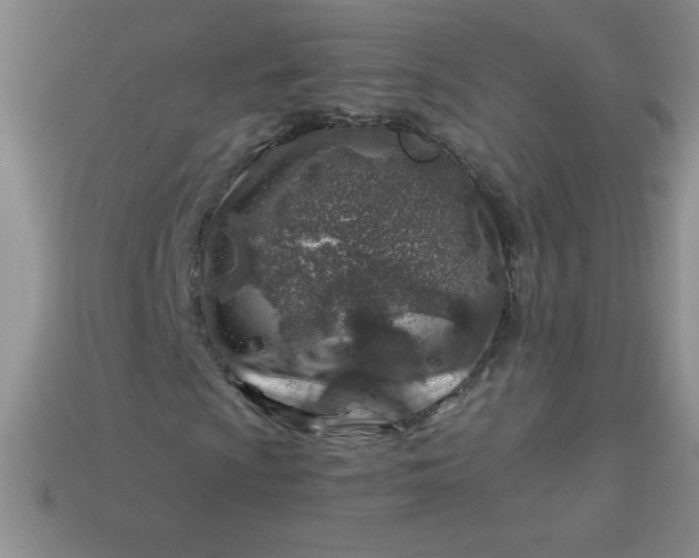 X0000113001009200909101751