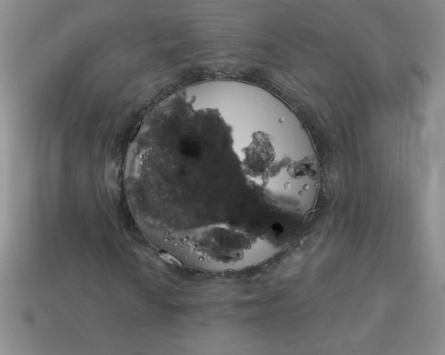 X0000113001010200909101751